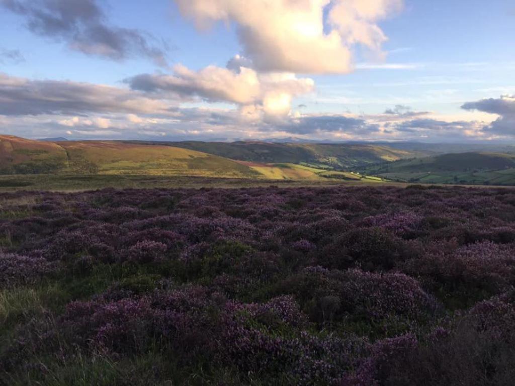 Nant-Y-Glyn Villa Llandrindod Wells Luaran gambar